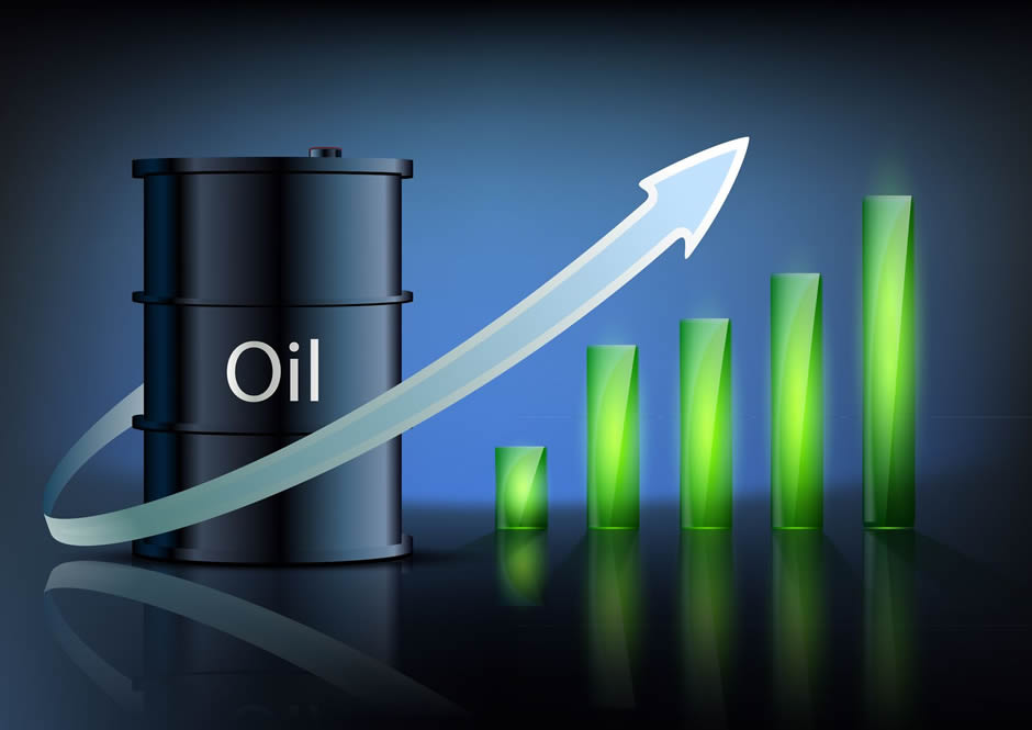 SikonEnergy Инвестиция